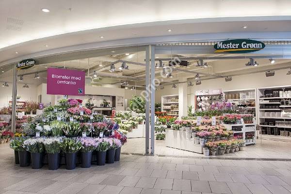 Mester Grønn CC Brakerøya