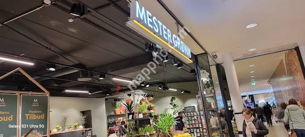 Mester Grønn CC Hamar