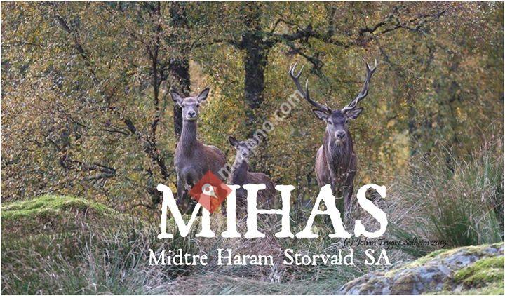 Midtre Haram Storvald SA