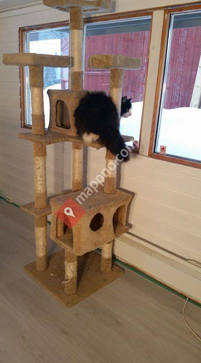 Millas Kattepensjonat