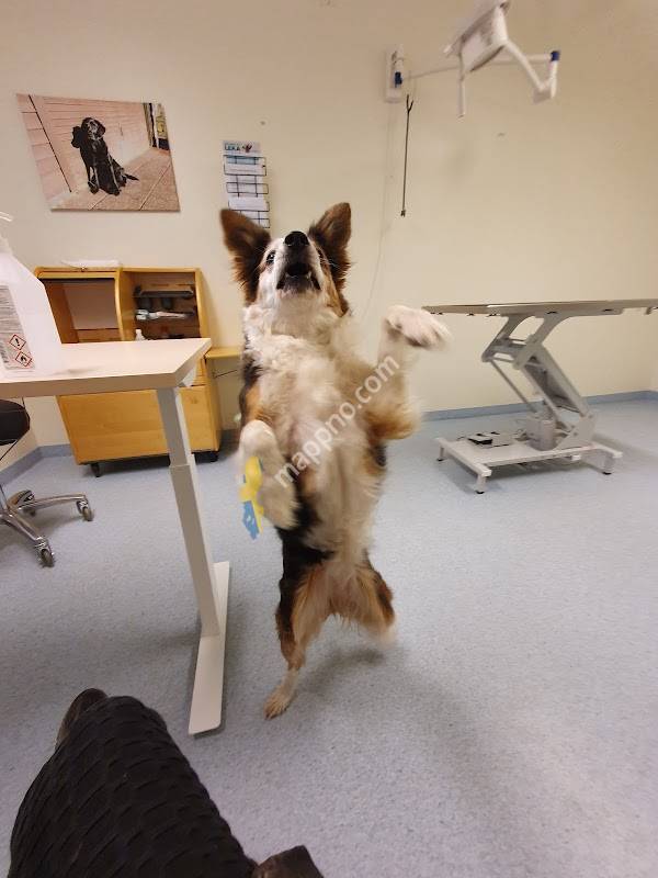 Min Veterinär i Skaraborg AB