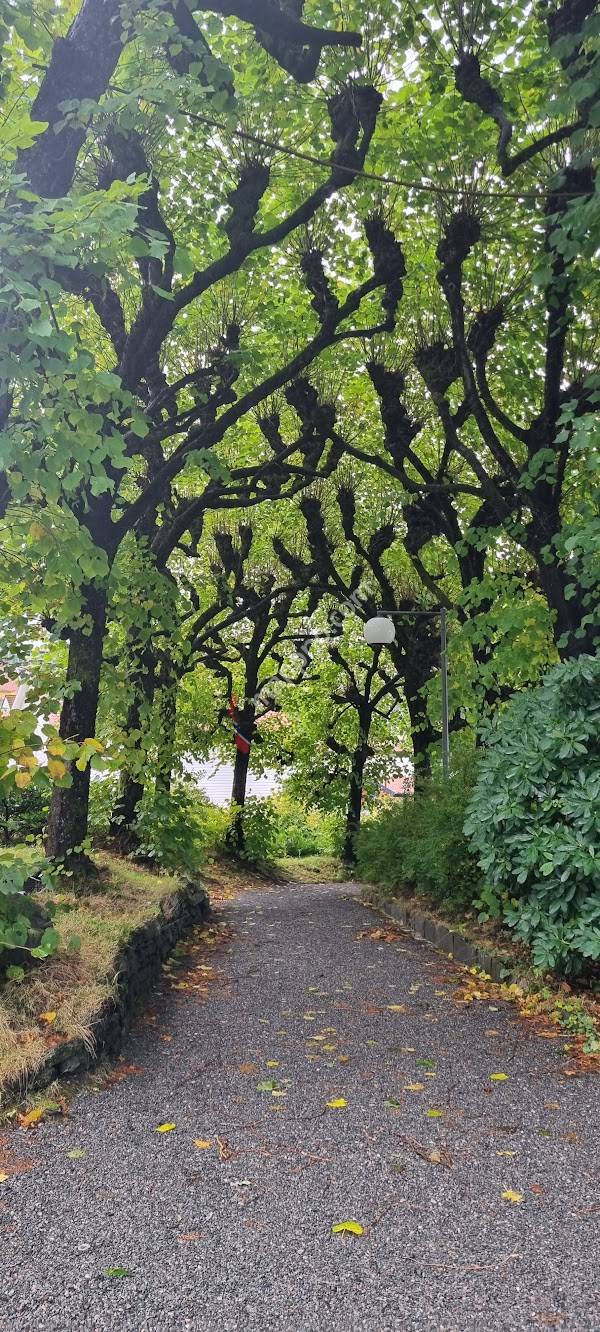 Mohns Villa - Haraldsplass Diakonale Stiftelse