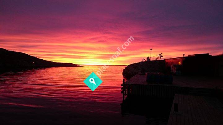 Morgans Fisk Mollösund