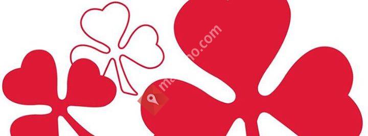 Mosjøen Sanitetsforening Ung