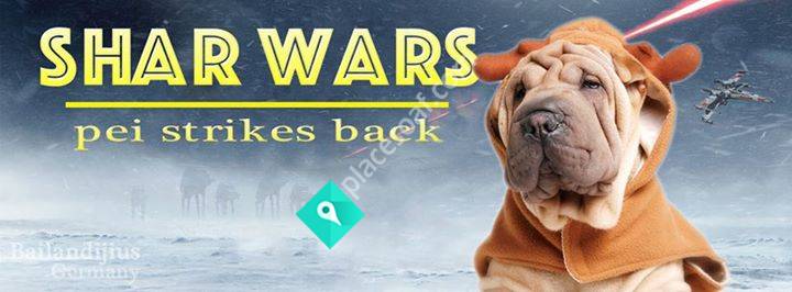 Mountainhills kennel