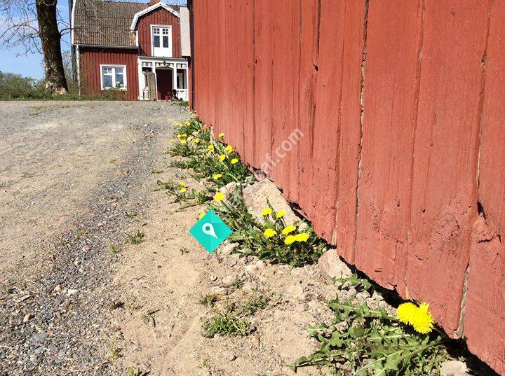 Mullersätters loppis