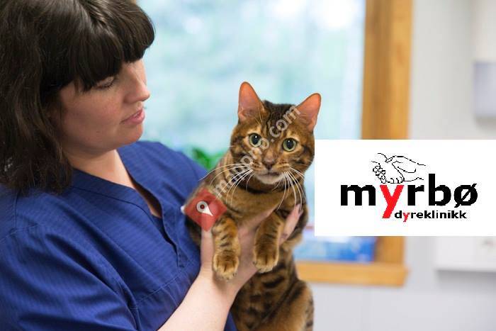 Myrbø Dyreklinikk As