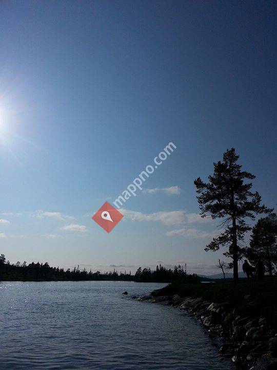 Namdal Eiendomservice As