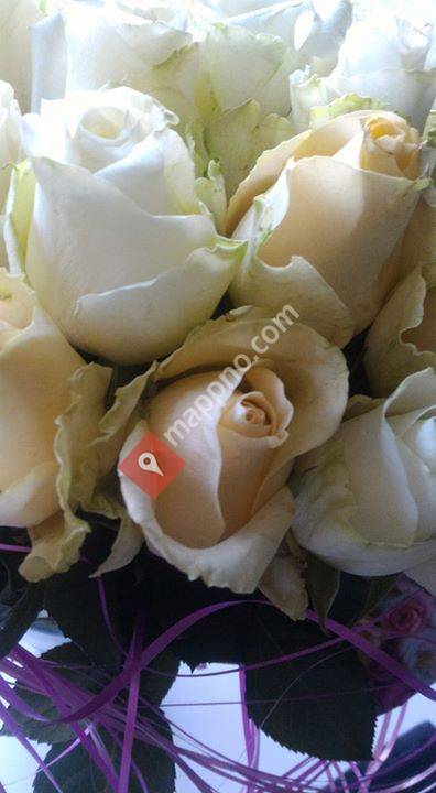 Nano holistisk spabehandling