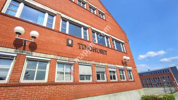 Nedre Telemark tingrett