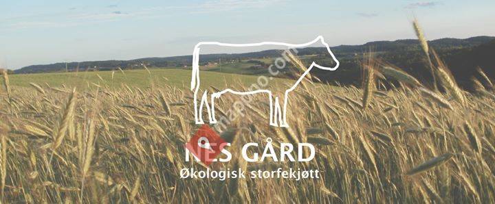 Nes gård storfekjøtt