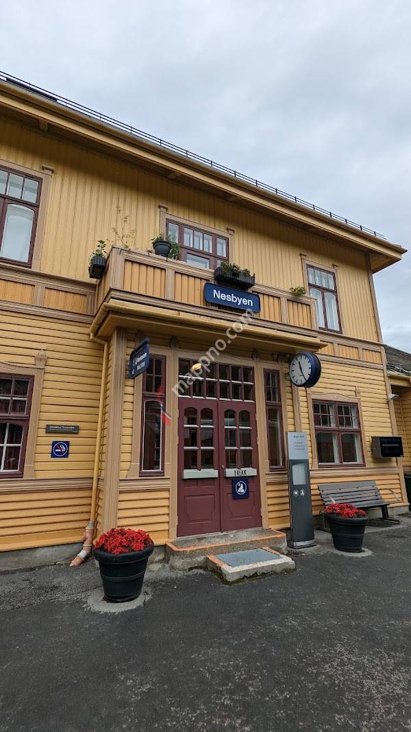 Nesbyen stasjon