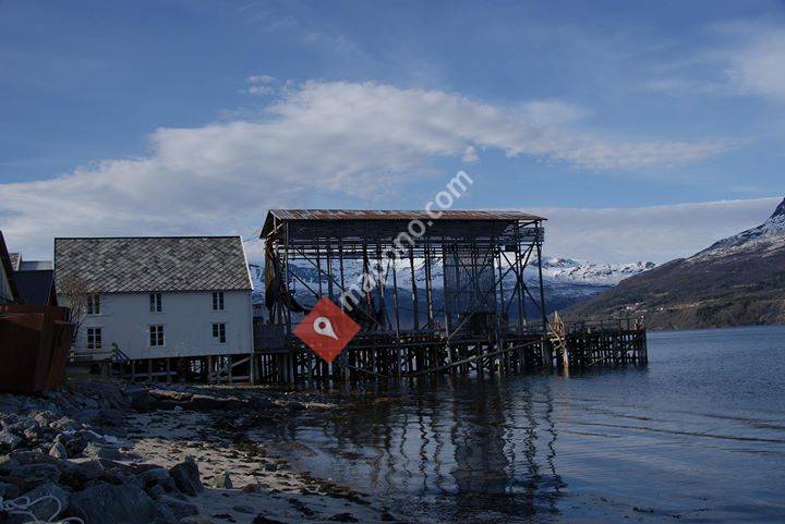 Nessebua ved Foldvik Brygge