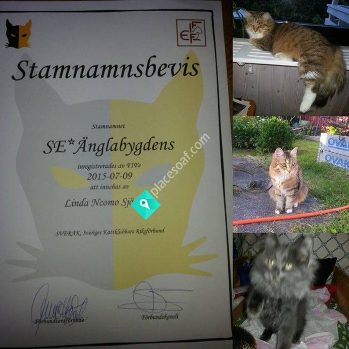 Änglabygdens Sibbar