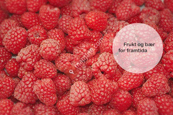 Njøs Næringsutvikling