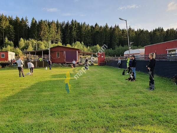 Noordhgårdens Hundskola & Hunddagis