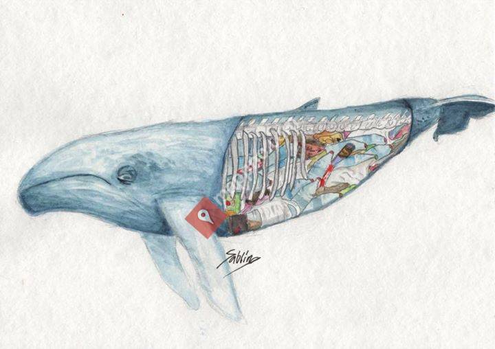 Nordic arts by Sabrina