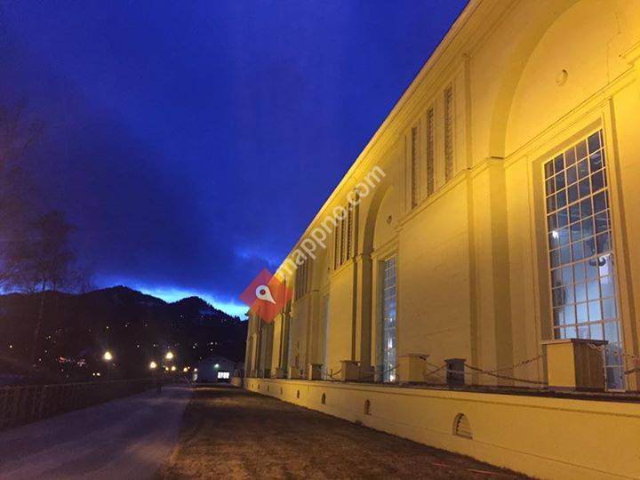 Nore og Uvdal Næringsselskap