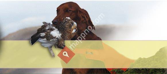 Norsk Irsksetterklubb