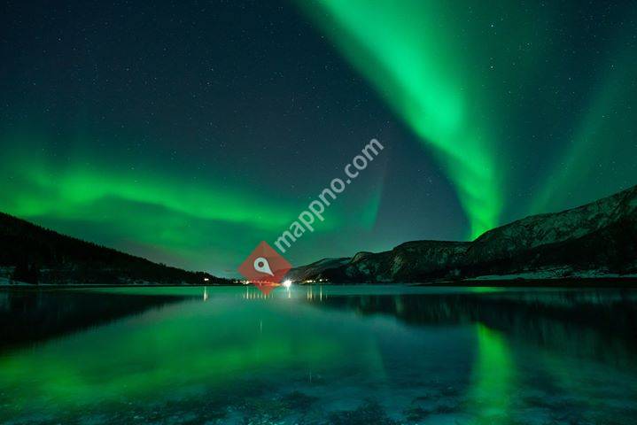 Northern Lights International