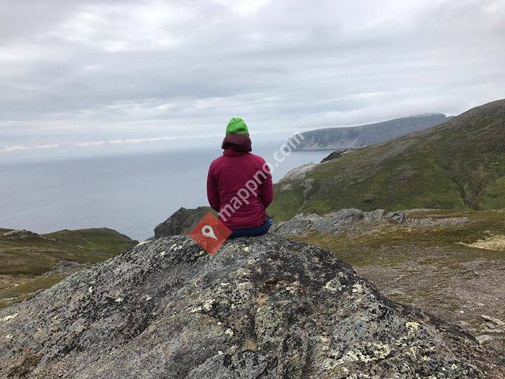 Norwegian Mountain Minerals