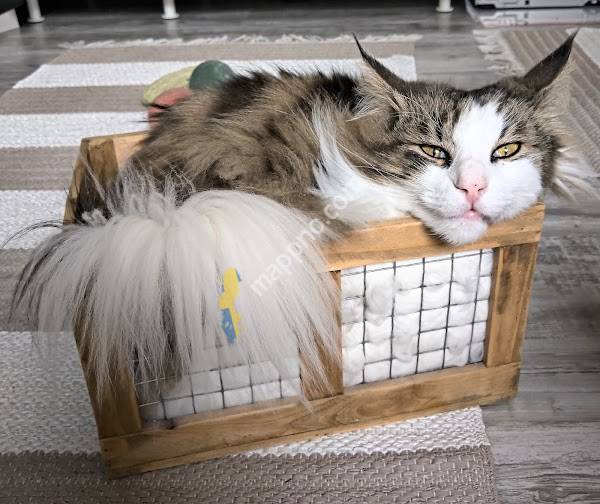 Nyland Smådjursklinik