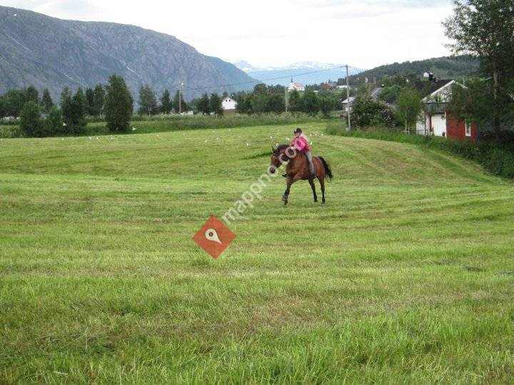 Opplev Helgeland - Stall Haugjord