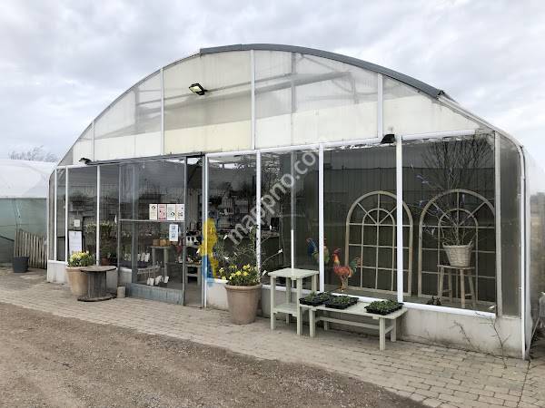Örjanssons Blommor