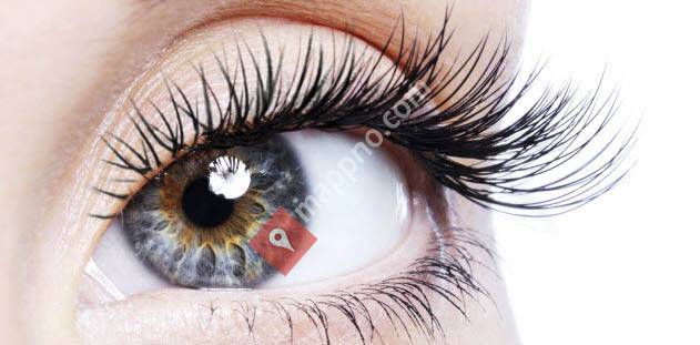 Påfuglen Vippe Extention v/ Lillian Torun Førland Tvetene