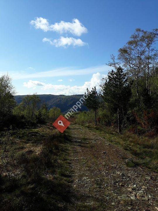 På gjengrodde stier og veifar i Lyngdal