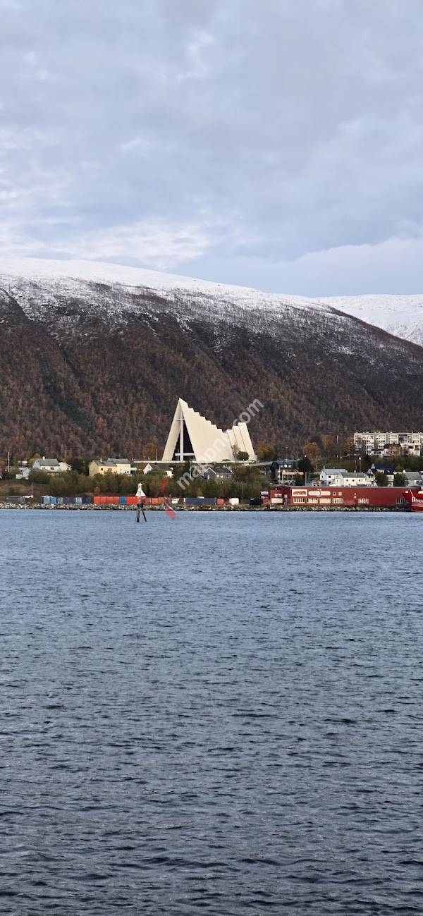 Parkering ved havnen