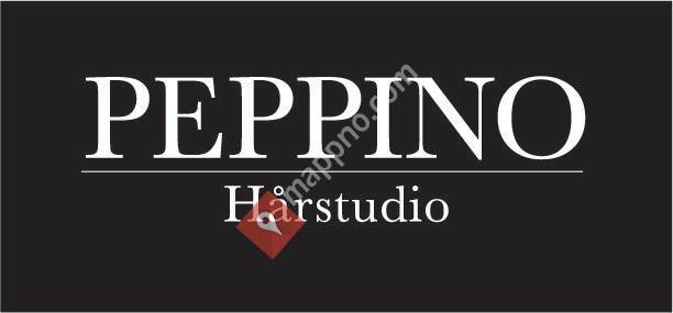 Peppino Hårstudio a/s