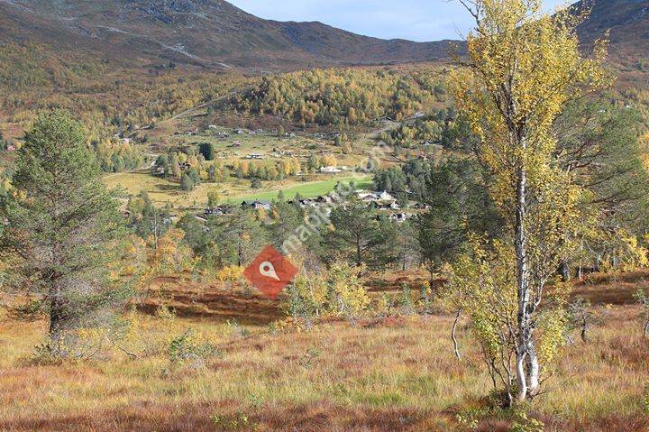 Perstunet, Bøanedsetra 71