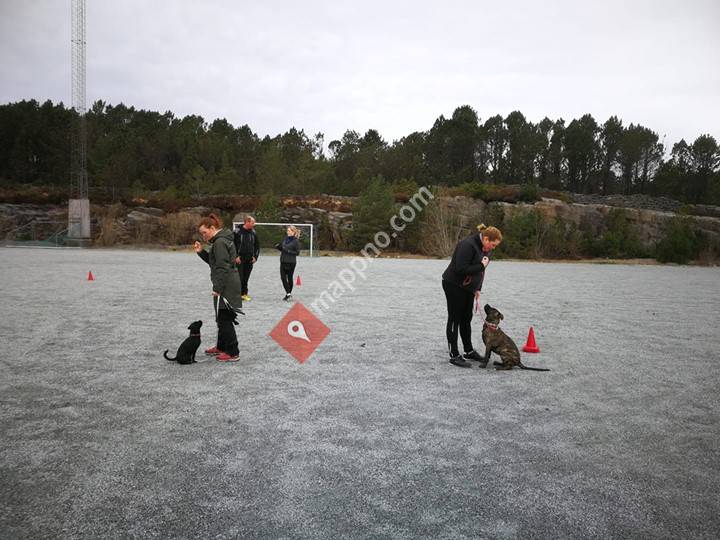 PoteAkademiet Roy's Hundeskole