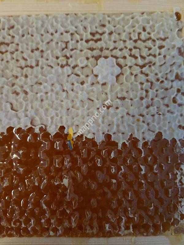 Äppelbodens gårdsbutik