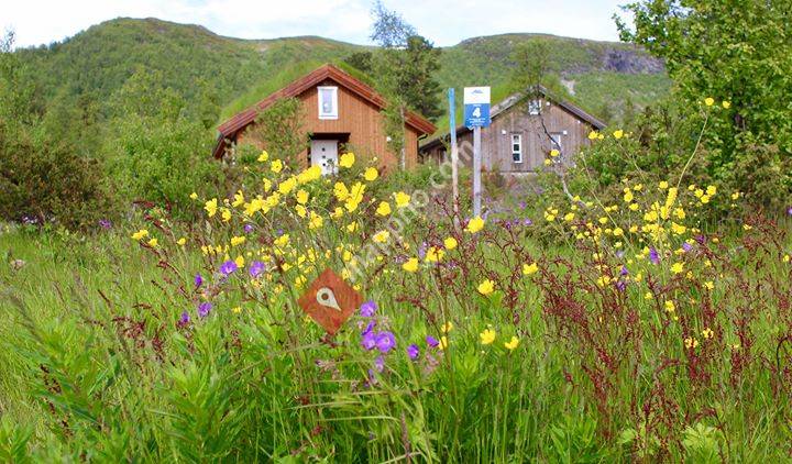 Raudalen Resort, Beitostølen. Norges helårsdestinasjon.