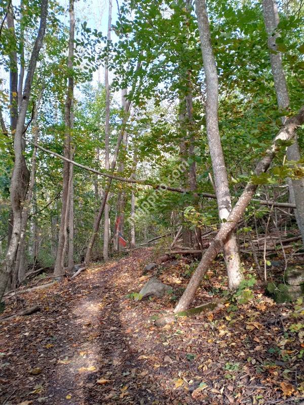 Refsnes naturreservat