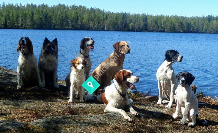 Regina's Veterinärklinik