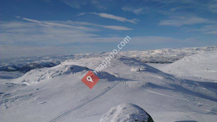 Reiårsvatn Velforening