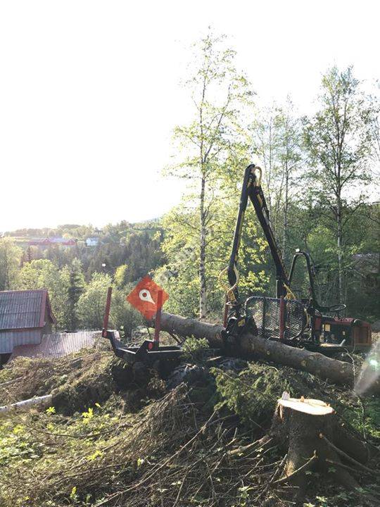 Rennebu trefelling