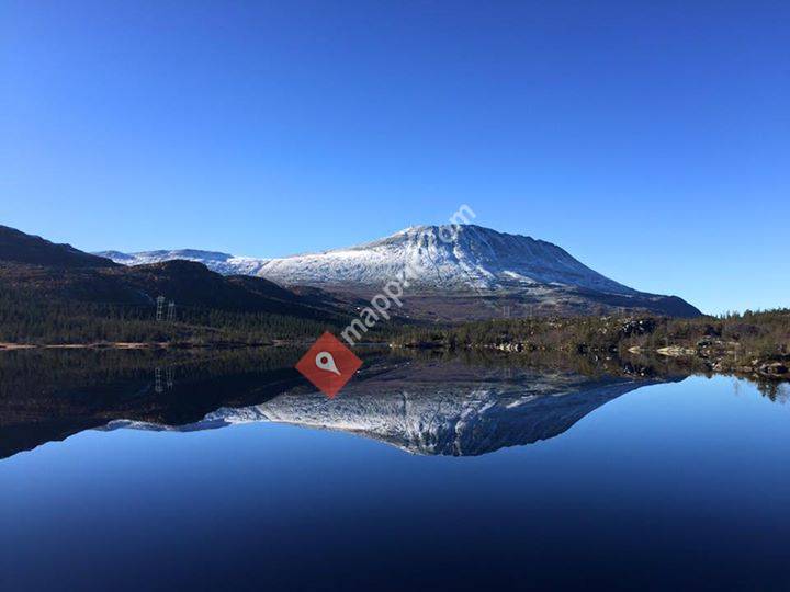 Riggenholt Eiendom As