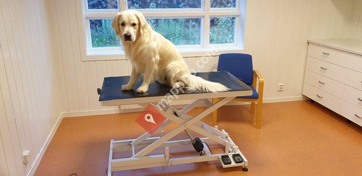 Rjukan veterinærkontor