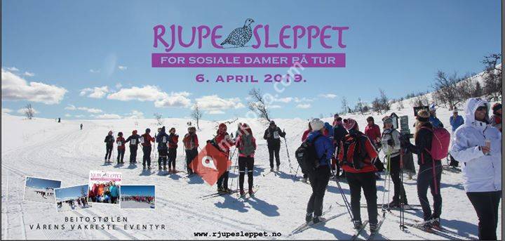 Rjupesleppet