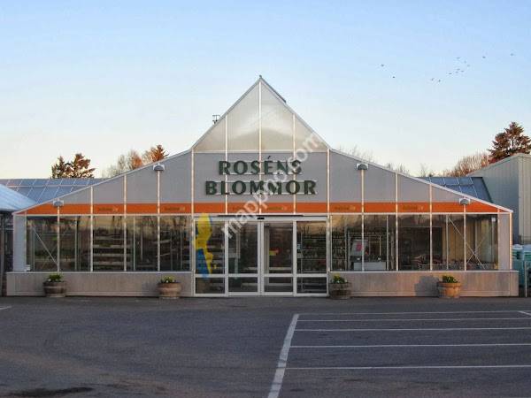 Roséns Blommor i Vara