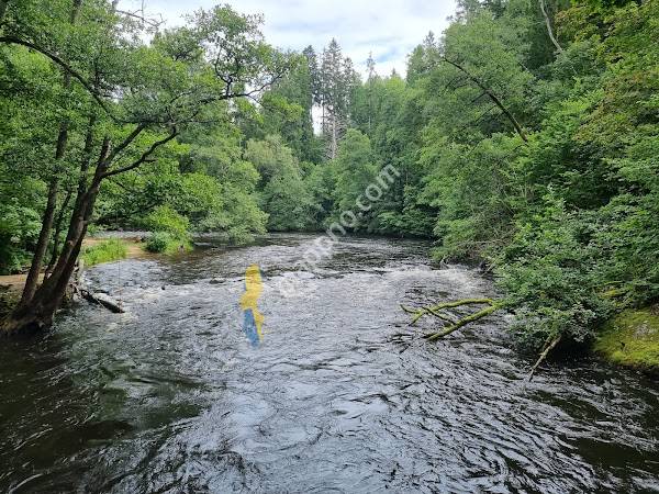 Säveåns Naturreservat