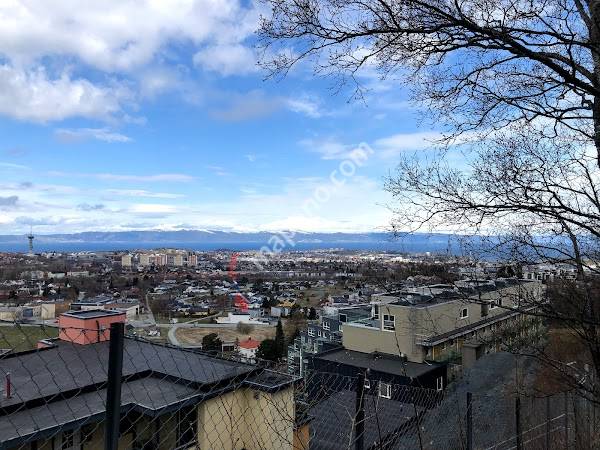 Sameiet Bergheim Amfi