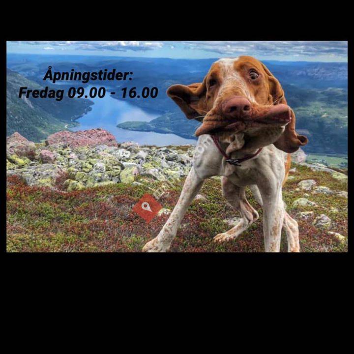 Seljord Veterinærkontor avdeling Rjukan