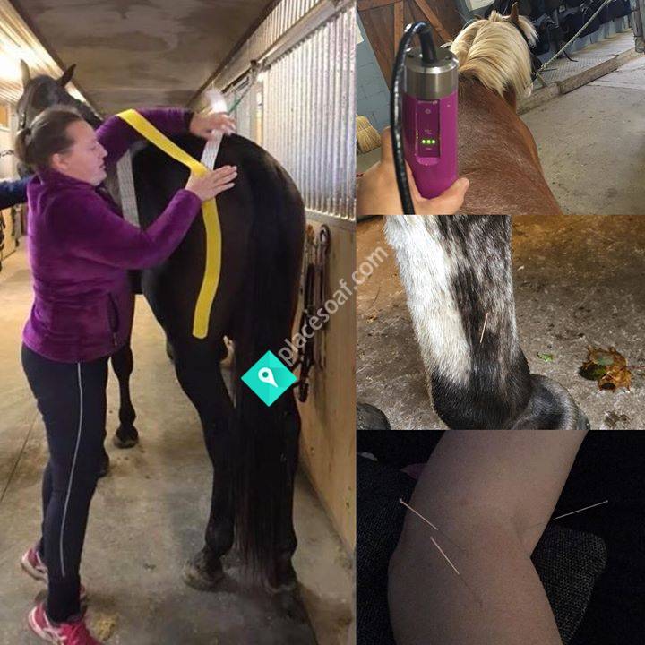 Åses Häst & Hov i Harmoni