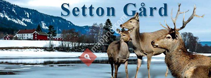 Setton Gård - Hjort