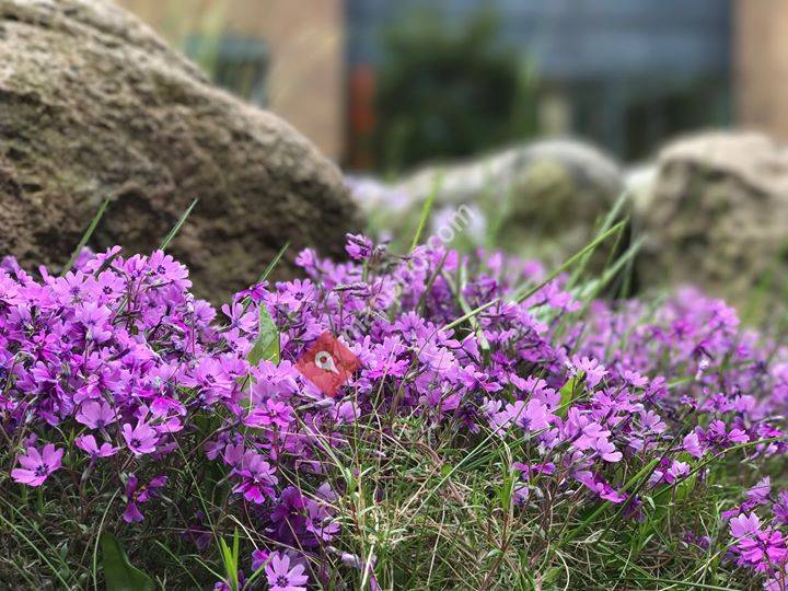 Åsgårdstrand Sykehjem